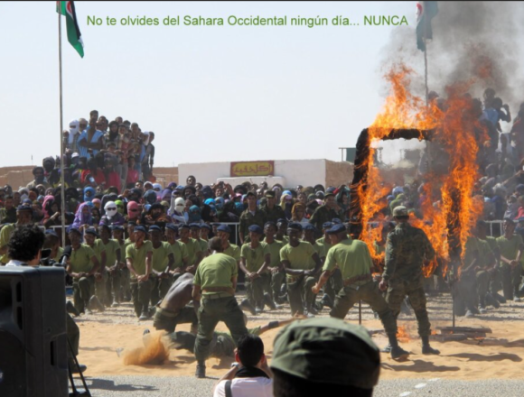 Noticias del SAHARA OCCIDENTAL – 16/6/2025 – La Actualidad Saharaui
