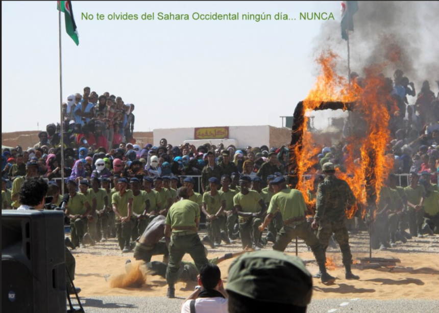 Noticias del SAHARA OCCIDENTAL – 16/6/2025 – La Actualidad Saharaui