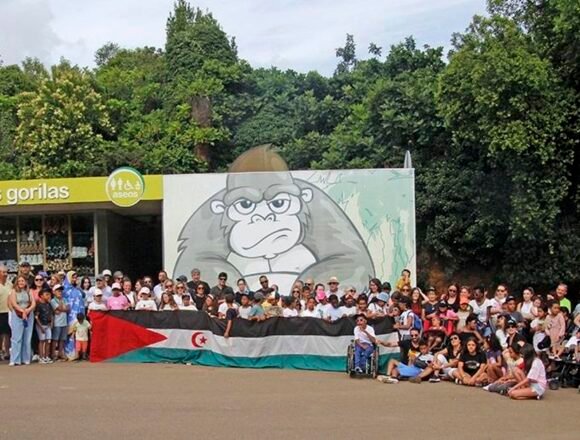 Un total de 68 niños saharauis llegan a Cantabria la próxima semana con el programa Vacaciones en Paz – elDiario