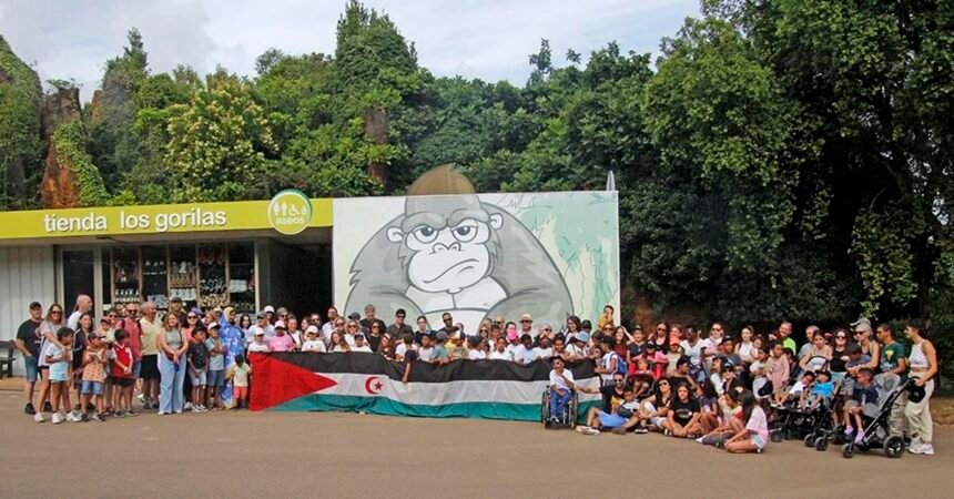 Un total de 68 niños saharauis llegan a Cantabria la próxima semana con el programa Vacaciones en Paz – elDiario