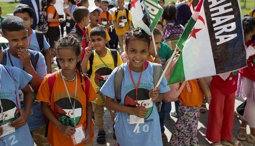 d946ae46-3e05-4422-8559-db16505f8214_16-9-aspect-ratio_default_0 El Frente Polisario y asociaciones saharauis de Navarra denuncian que se vincule el programa Vacaciones en Paz con el terrorismo – Noticias de Navarra
