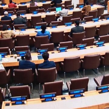Naciones Unidas: El Comité Especial de Descolonización concluye su período de sesiones con la adopción de importantes resoluciones
