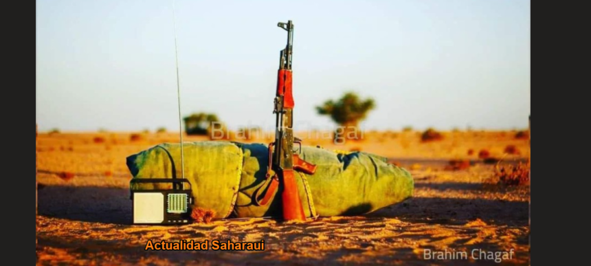 Noticias del SAHARA OCCIDENTAL – 28/6/2025 – La Actualidad Saharaui