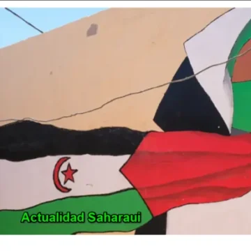 La vuelta al mundo SAHARAUI | Del Sáhara a Palestina: una misma lucha contra la ocupación