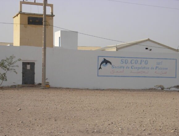 Exif_JPEG_PICTURE Western Sahara Resource Watch | Quality Austria inspeccionó a empresas marroquíes exportadoras de pescado en el Sáhara Occidental ocupado