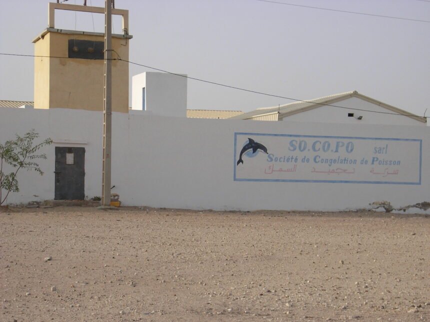 Western Sahara Resource Watch | Quality Austria inspeccionó a empresas marroquíes exportadoras de pescado en el Sáhara Occidental ocupado