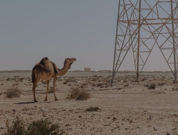 Western Sahara Resource Watch | Empresa de los Emiratos Árabes Unidos se dispone a desarrollar un nuevo parque eólico en el Sáhara Occidental ocupado
