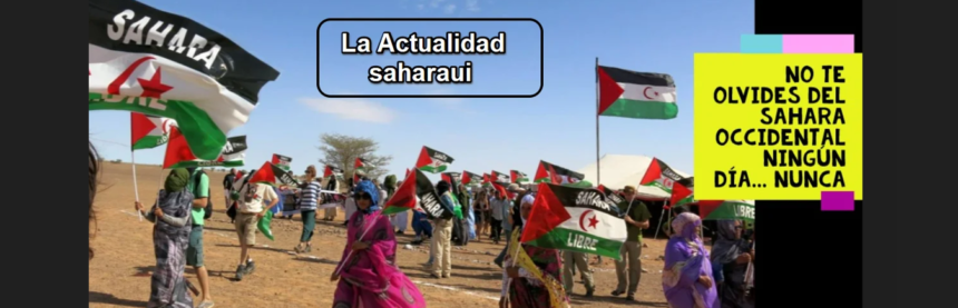 Noticias del SAHARA OCCIDENTAL – 20/7/2025 – La Actualidad Saharaui