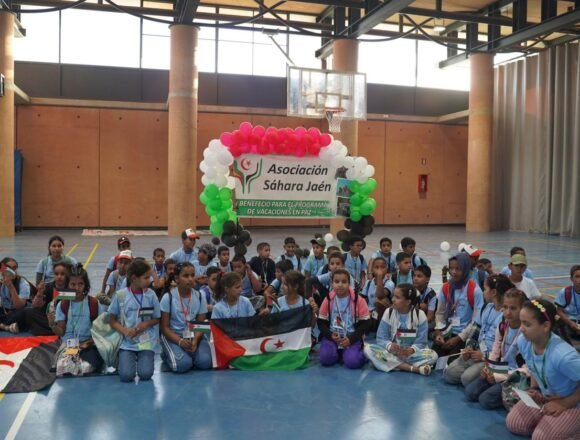 La acogida a menores saharauis, una «declaración política llena de rebeldía» | Ideal