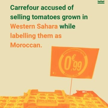 Western Sahara Resource Watch | Denuncia presentada: Carrefour comercializa “fraudulentamente” tomates en conflicto