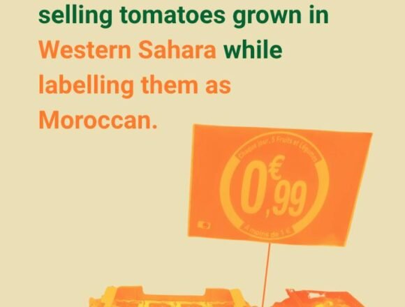 Western Sahara Resource Watch | Denuncia presentada: Carrefour comercializa “fraudulentamente” tomates en conflicto