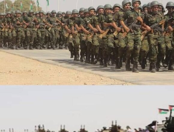 GUERRA EN EL SAHARA | La artillería saharaui bombardea bases enemigas en el sector de GUELTA | Sahara Press Service (SPS)