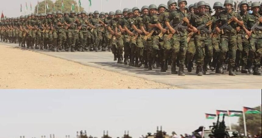 GUERRA EN EL SAHARA | La artillería saharaui bombardea bases enemigas en el sector de GUELTA | Sahara Press Service (SPS)