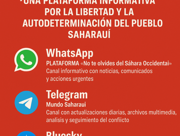 f4d1bd40-2903-49fd-be6b-d2616dc38f42 NO TE OLVIDES DEL SAHARA OCCIDENTAL: una plataforma por la libertad y la autodeterminación del pueblo saharaui – Victoria G. Corera