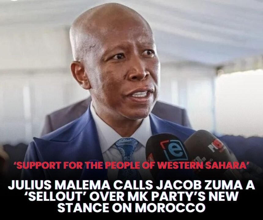 Julius Malema, líder del partido sudafricano Luchadores por la Libertad Económica (EFF), condena cualquier apoyo africano a la ocupación marroquí del Sáhara Occidental | Sahara Press Service (SPS)