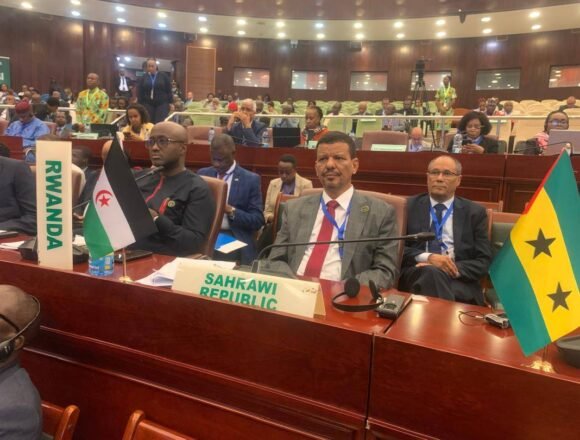 Marruecos vuelve a hacer el “ridículo” robando la bandera de la RASD en reunión de la UA en Malabo | Sahara Press Service (SPS)