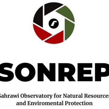 SONREP condena el etiquetado engañoso de productos del Sáhara Occidental como «marroquíes» en los mercados de la UE