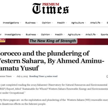 Premium Times Nigeria: Los proyectos de energía renovable de Marruecos en el Sáhara Occidental, condenados como «saqueo colonial» 