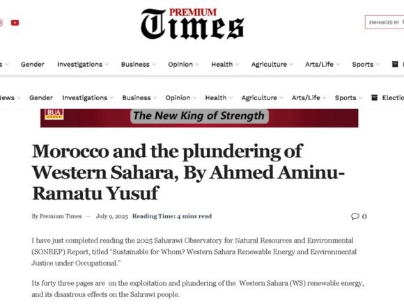 timesng Premium Times Nigeria: Los proyectos de energía renovable de Marruecos en el Sáhara Occidental, condenados como «saqueo colonial»