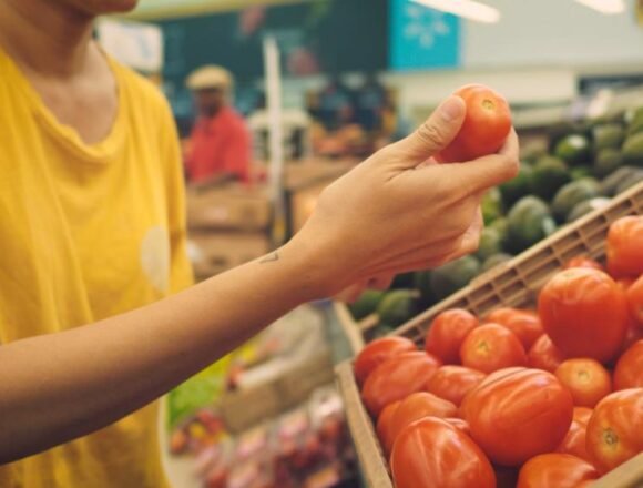 video-agri-still El PP exige revisar el acuerdo comercial con Marruecos para garantizar reciprocidad, fijar cuotas y excluir productos del Sáhara Occidental – Grupo del Partido Popular Europeo (Grupo PPE)