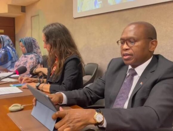 Embajador de Sudáfrica en Ginebra: la resistencia de la mujer saharaui en las zonas ocupadas desenmascara la narrativa que pretende blanquear la ocupación | Sahara Press Service (SPS)