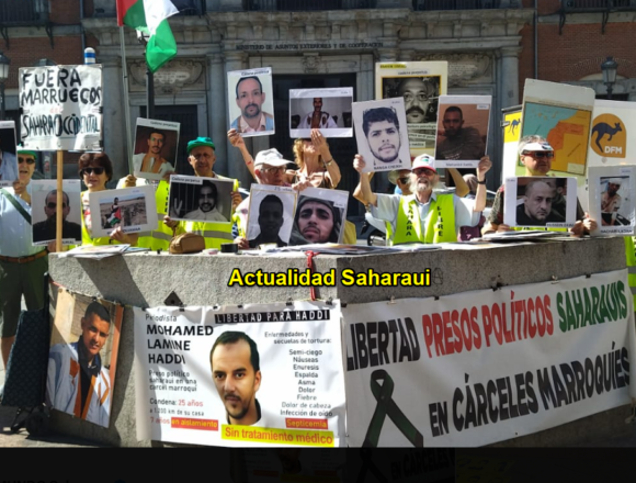 Noticias del SAHARA OCCIDENTAL – 9/7/2025 – La Actualidad Saharaui