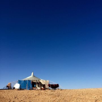 640,80 –  Nidos del Sahara – Saharako Kabiak, por Josu Jimenez Maia | BUBISHER