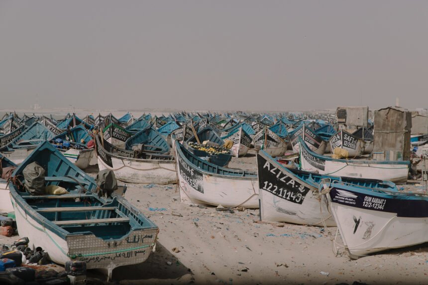 68ab05ba5478c_2024_WSRW_Klenner_Dakhla_87 La UE busca nuevas conversaciones comerciales con Marruecos, incluido el Sáhara Occidental | Western Sahara Resource Watch