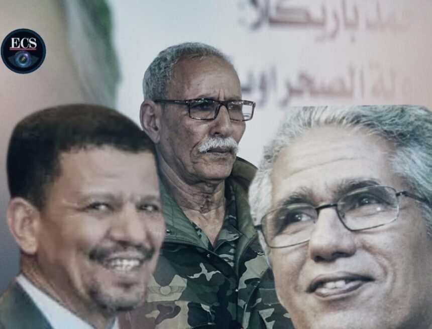 La necesidad de una audaz revisión y reestructuración de la diplomacia del Frente POLISARIO – ECSAHARAUI