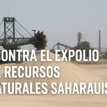 asdfgvbhn Los recursos naturales saharauis no pertenecen a Marruecos | Desmontando bulos – 10