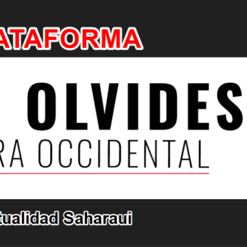 Noticias del SAHARA OCCIDENTAL – 17/8/2025 – La Actualidad Saharaui