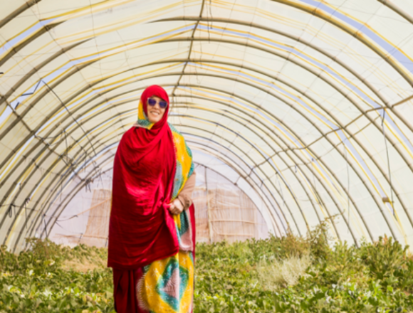 fe99afc0-785a-11f0-93f9-cbd8781f3c37 Fatimatu Bachir: ‘Manchester me ayudó a cultivar verduras en el Sahara’ – BBC News