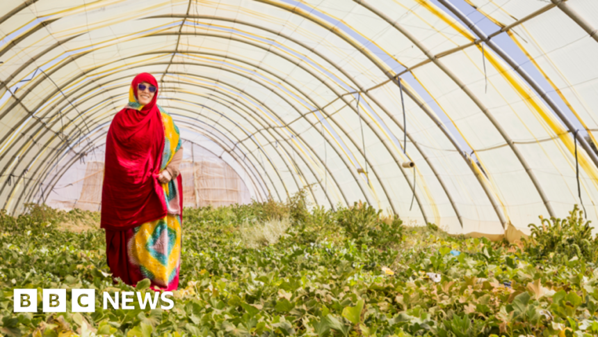 Fatimatu Bachir: ‘Manchester me ayudó a cultivar verduras en el Sahara’ – BBC News
