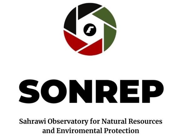 SONREP condena el vertido de decenas de toneladas de pescado en las costas de Dajla ocupada | Sahara Press Service (SPS)