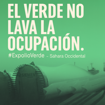 4ce127ad-5fb3-41ff-94c8-9d7692c7ebc3 EXPOLIO VERDE EN TERRITORIOS OCUPADOS DEL SÁHARA OCCIDENTAL: ¿ECOLOGÍA O ECOCIDIO?