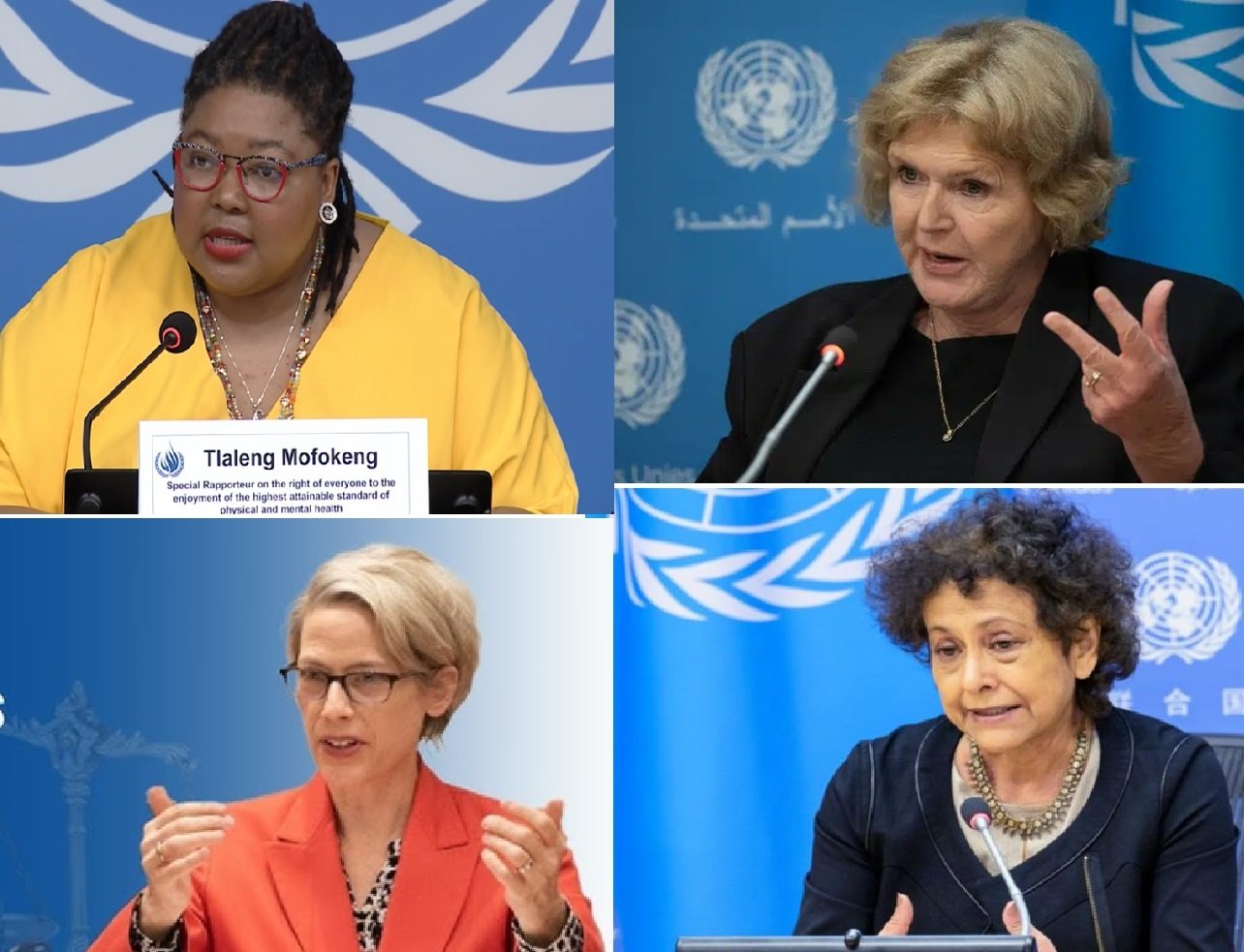 4 relatores de derechos humanos de la ONU