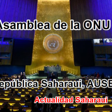 Noticias del SAHARA OCCIDENTAL – 24/9/2025 – La Actualidad Saharaui