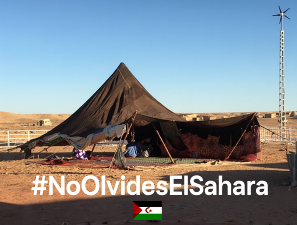 Noticias del SAHARA OCCIDENTAL – 3/9/2025 – La Actualidad Saharaui
