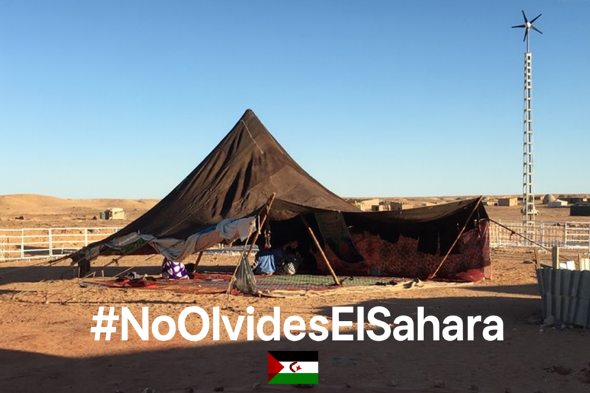 Noticias del SAHARA OCCIDENTAL – 3/9/2025 – La Actualidad Saharaui