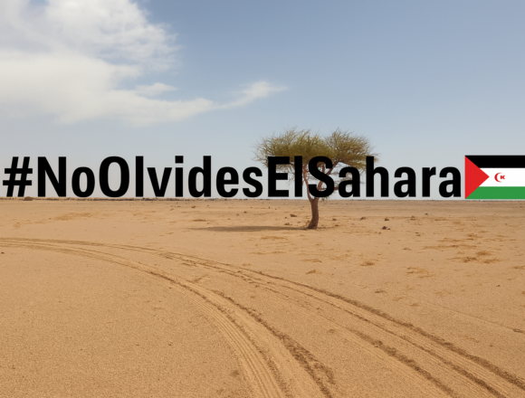 ChatGPT Image 31 ago 2025, 09_14_04 El Sahara Occidental, un territorio pendiente de descolonización: Memorándum saharaui en la ONU