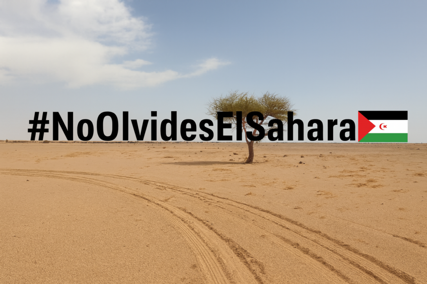 ChatGPT Image 31 ago 2025, 09_14_04 El Sahara Occidental, un territorio pendiente de descolonización: Memorándum saharaui en la ONU