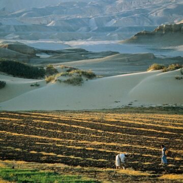 GettyImages-640236603-2 La Comisión propone modificar su acuerdo comercial con Marruecos para «cumplir» con el fallo del tribunal de la UE sobre el Sáhara Occidental
