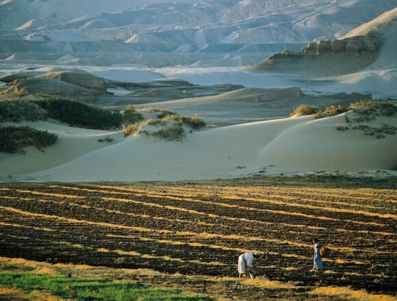 GettyImages-640236603-2 La Comisión propone modificar su acuerdo comercial con Marruecos para «cumplir» con el fallo del tribunal de la UE sobre el Sáhara Occidental