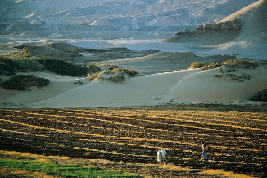 La Comisión propone modificar su acuerdo comercial con Marruecos para «cumplir» con el fallo del tribunal de la UE sobre el Sáhara Occidental