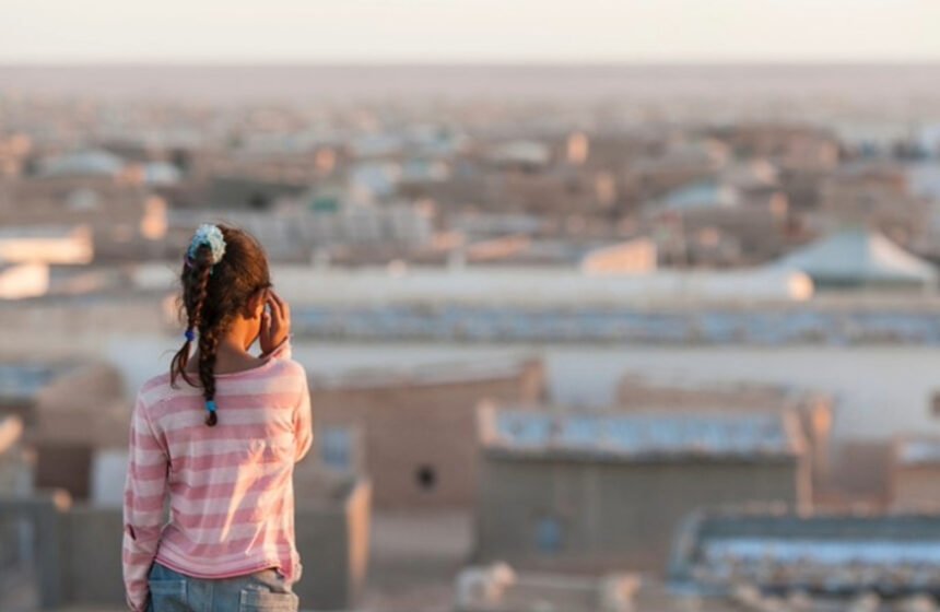 Cincuenta años en el exilio: Derechos humanos y la crisis olvidada del Sáhara Occidental – Harvard Law School | Human Rights Program