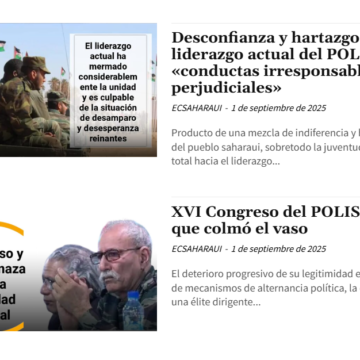aqwsedrfgttreftgh Crítica para fortalecer: reflexiones urgentes tras los dos editoriales de ECSAHARAUI acerca del liderazgo actual del FRENTE POLISARIO – Victoria G. Corera