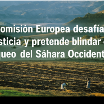 asdfgf TEMA DEL DÍA: La Comisión Europea desafía a la justicia y pretende blindar el saqueo del Sáhara Occidental