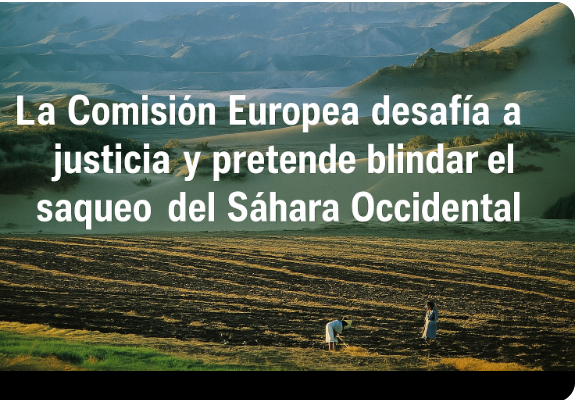 asdfgf TEMA DEL DÍA: La Comisión Europea desafía a la justicia y pretende blindar el saqueo del Sáhara Occidental