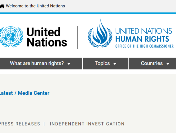 edrfrert Israel ha cometido genocidio en la Franja de Gaza, concluye Comisión de la ONU | United Nations Human Rights