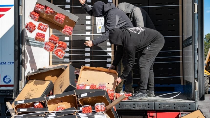 europapress-5786466-agricultores-tiran-tomates-origen-marroqui-camion-dia-cortado-ap-7-altura-1200x675-1 El campo europeo trata de abortar un nuevo acuerdo con Marruecos: “Los políticos se han sometido a Rabat”